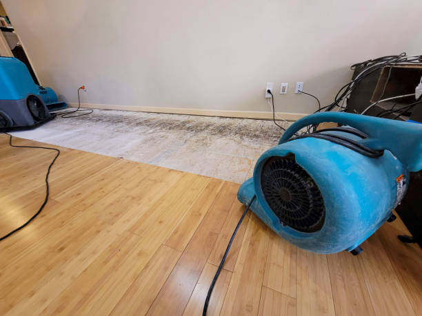 Professional Sewage Cleanup technician working in New Ipswich, NH